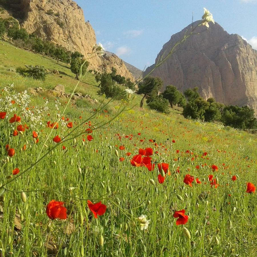 Gite Baraka Taghia Dış mekan fotoğraf